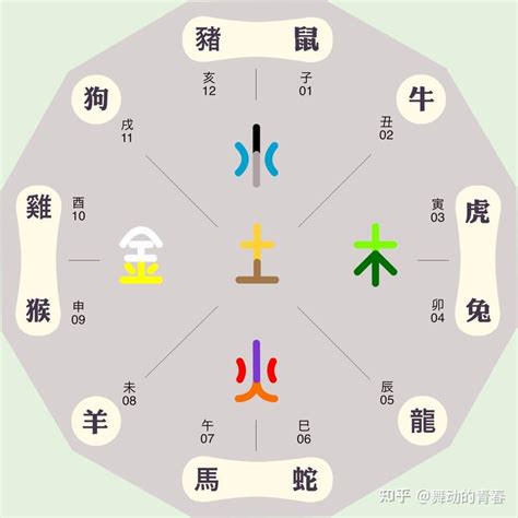 甲子鼠 五行|十二生肖对应的五行及属相年份五行对照表